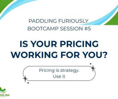 Pricing is a strategic tool in growing your business