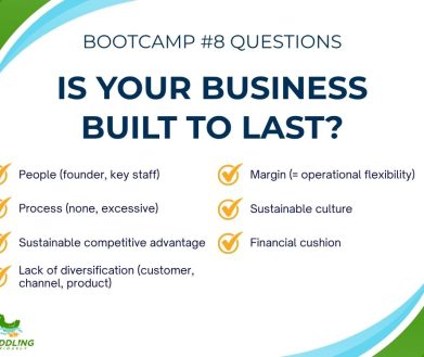 Are you building a resilient business that limits risk and supports growty